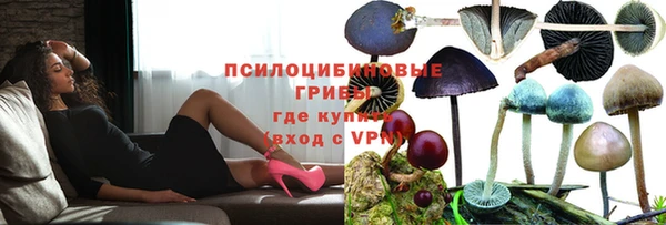 мяу мяу мука Баксан