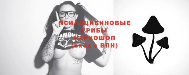 прущий лед Балахна