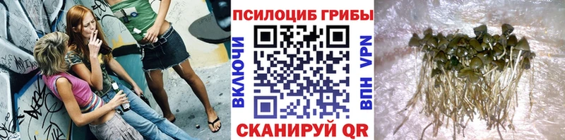 Псилоцибиновые грибы прущие грибы hydra ссылка Вятские Поляны