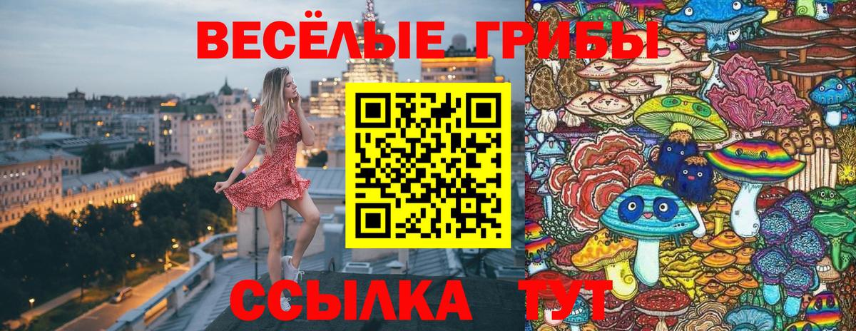 Вятские Поляны  Псилоцибиновые грибы ЛСД  Псилоцибиновые грибы Cubensis  Вход с VPN 