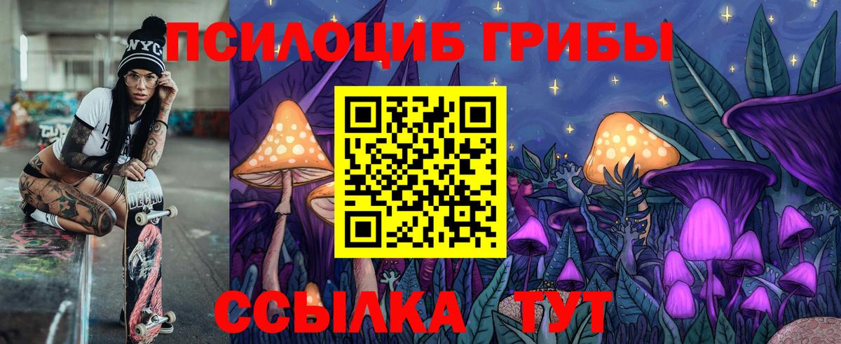 Псилоцибиновые грибы Psilocybine cubensis Вятские Поляны